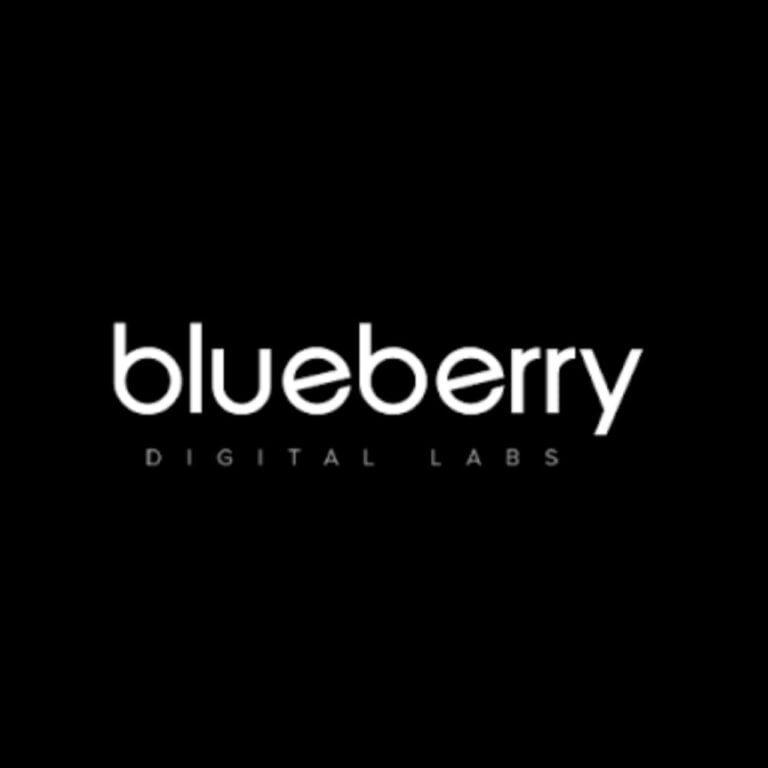 blueberry logo